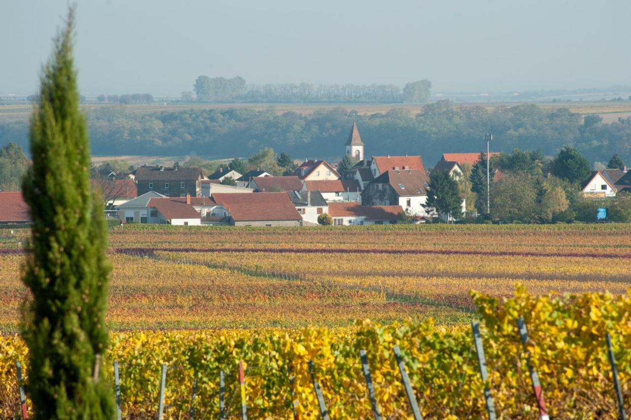 Gaestehaus & Weingut Peth Florsheim-Dalsheim Eksteriør billede
